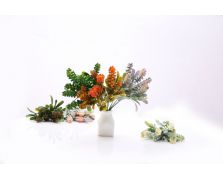 312#5頭20目羅漢景天墜Siraitia grosvenorii & Sedum