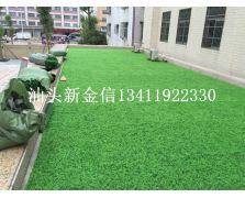 住宅區(qū)陽臺(tái)草坪